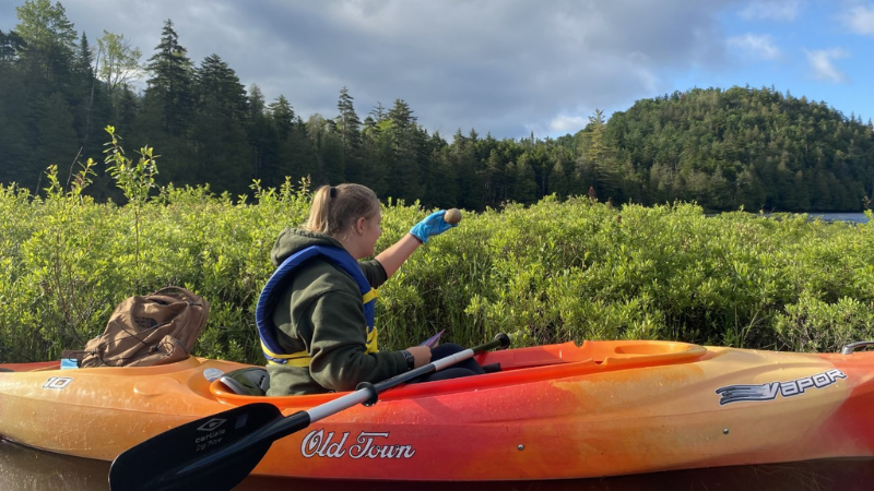 Researcher in kayak holding loon egg